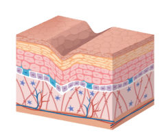 30 Aging Process Cocera